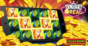 গোপনীয়তা ও লগইন সতর্কতায় bit 2022 ক্রিকেট গাইড